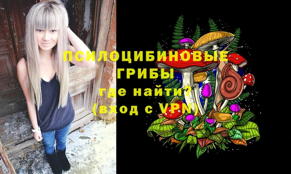 круглые Аркадак